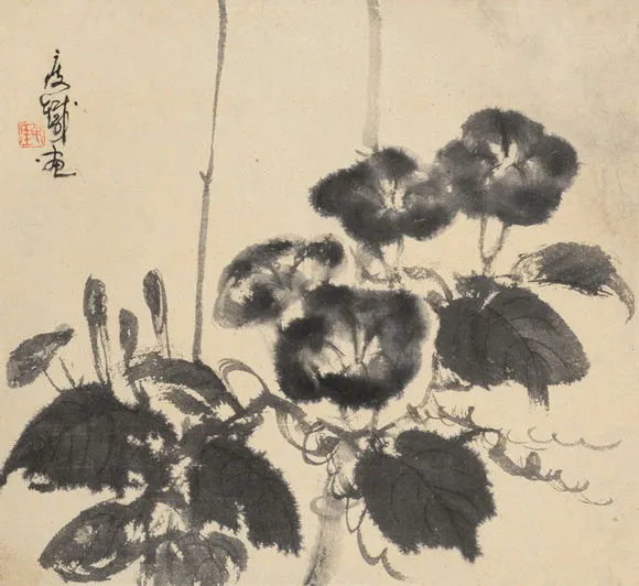 18564315_47