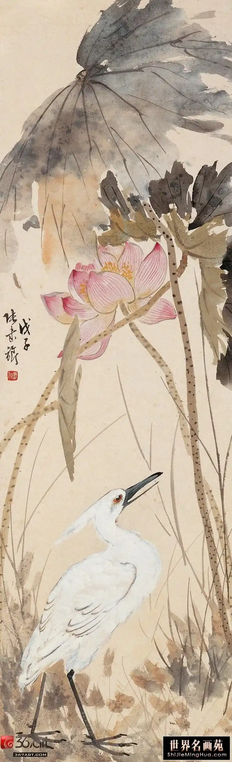 ����� ���ӣ�1948�꣩�� ���ºɻ� ��