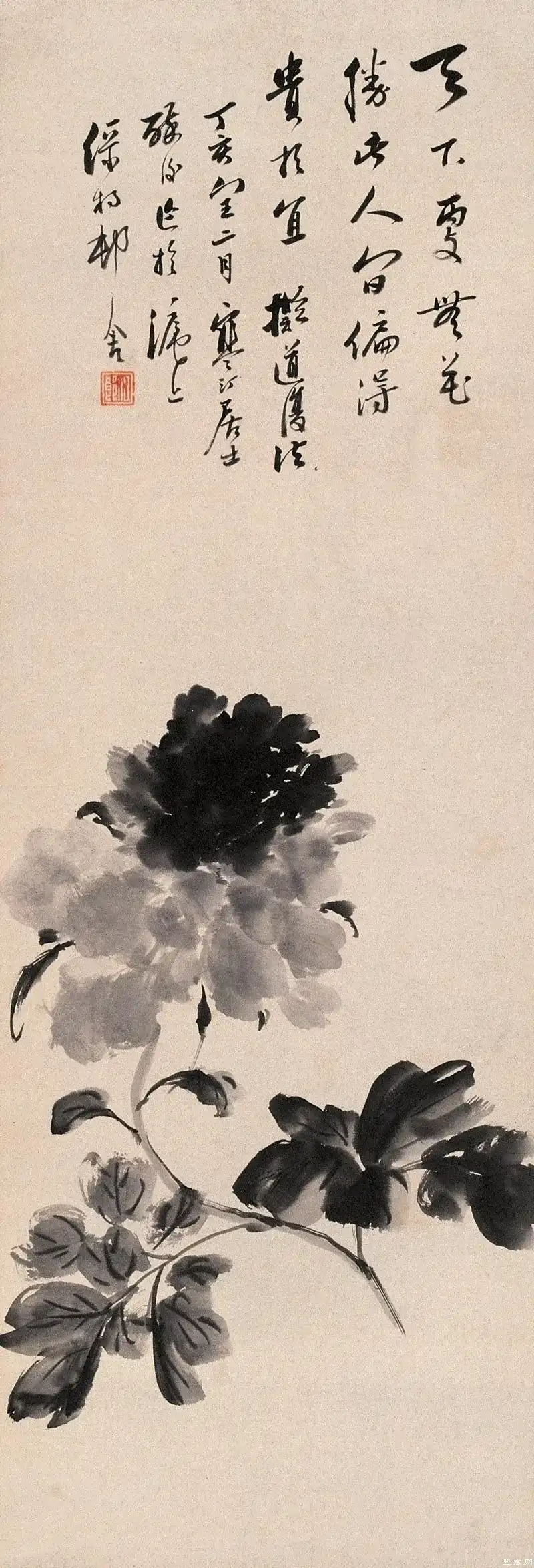 19905625_3