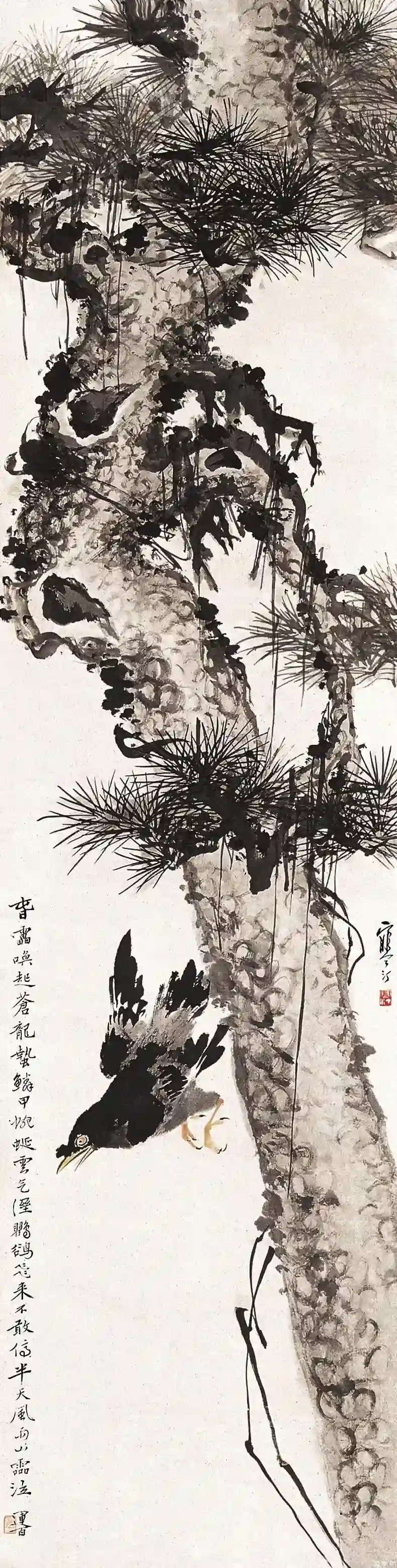 19905625_4