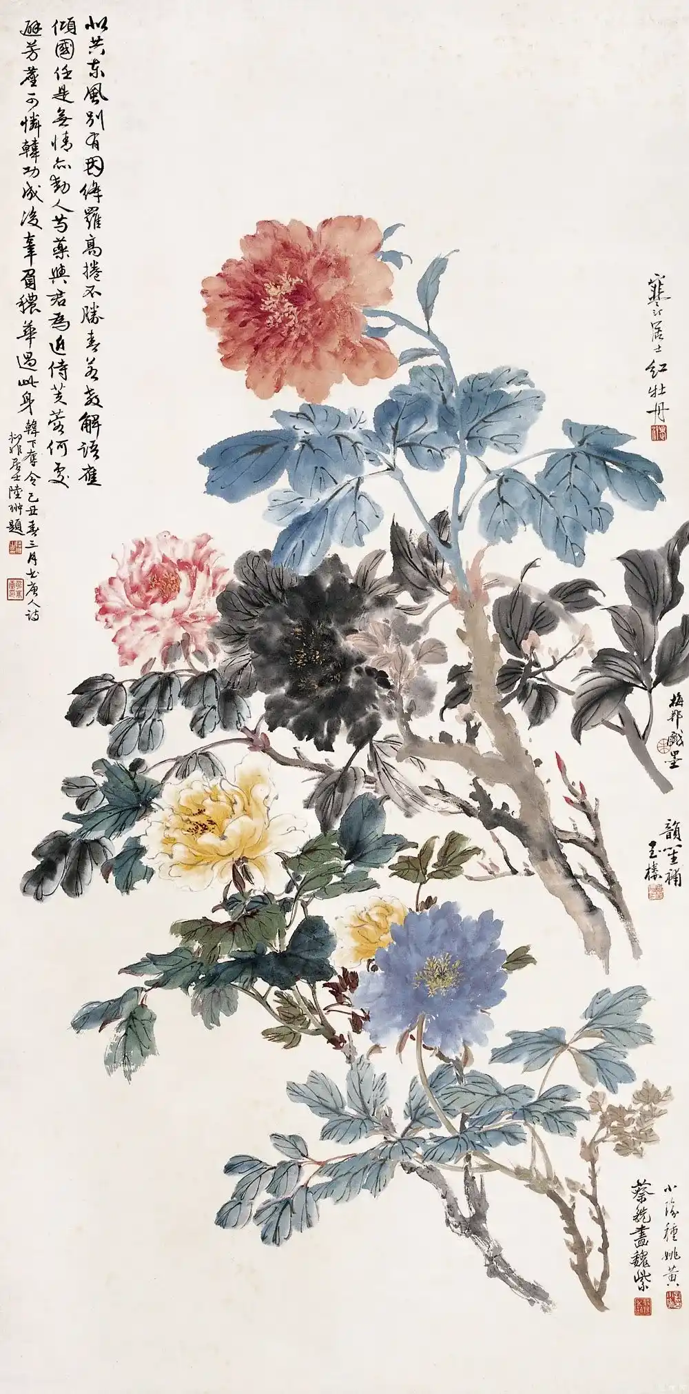 19905625_14