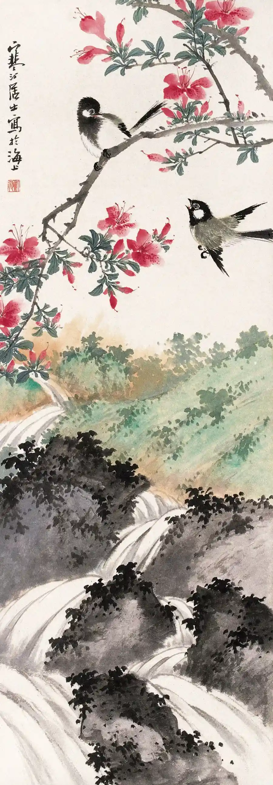 19905625_41