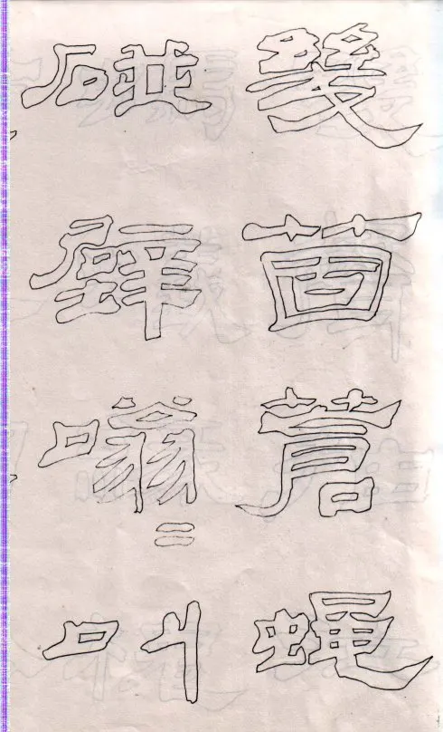31951653_17