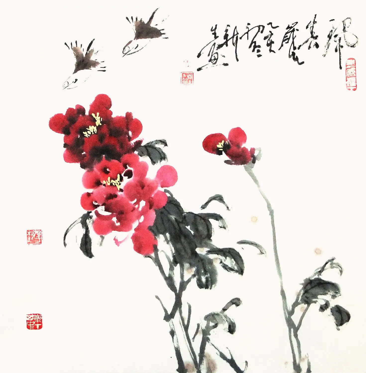 H502������--����