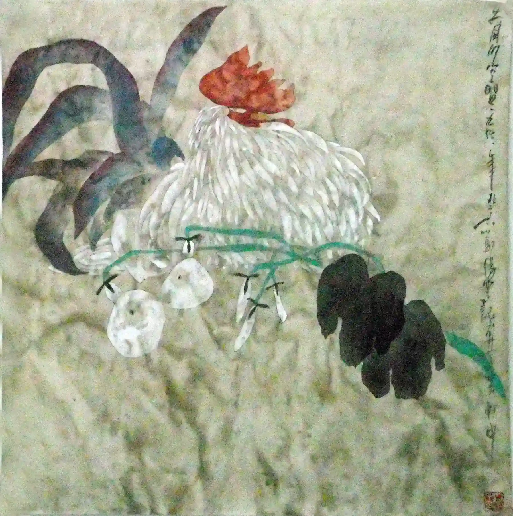 H615����--��ͬ�Ŀճ�