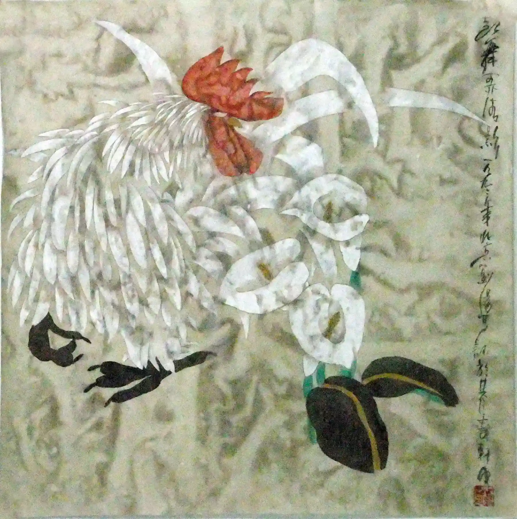 H617����--����Ū����