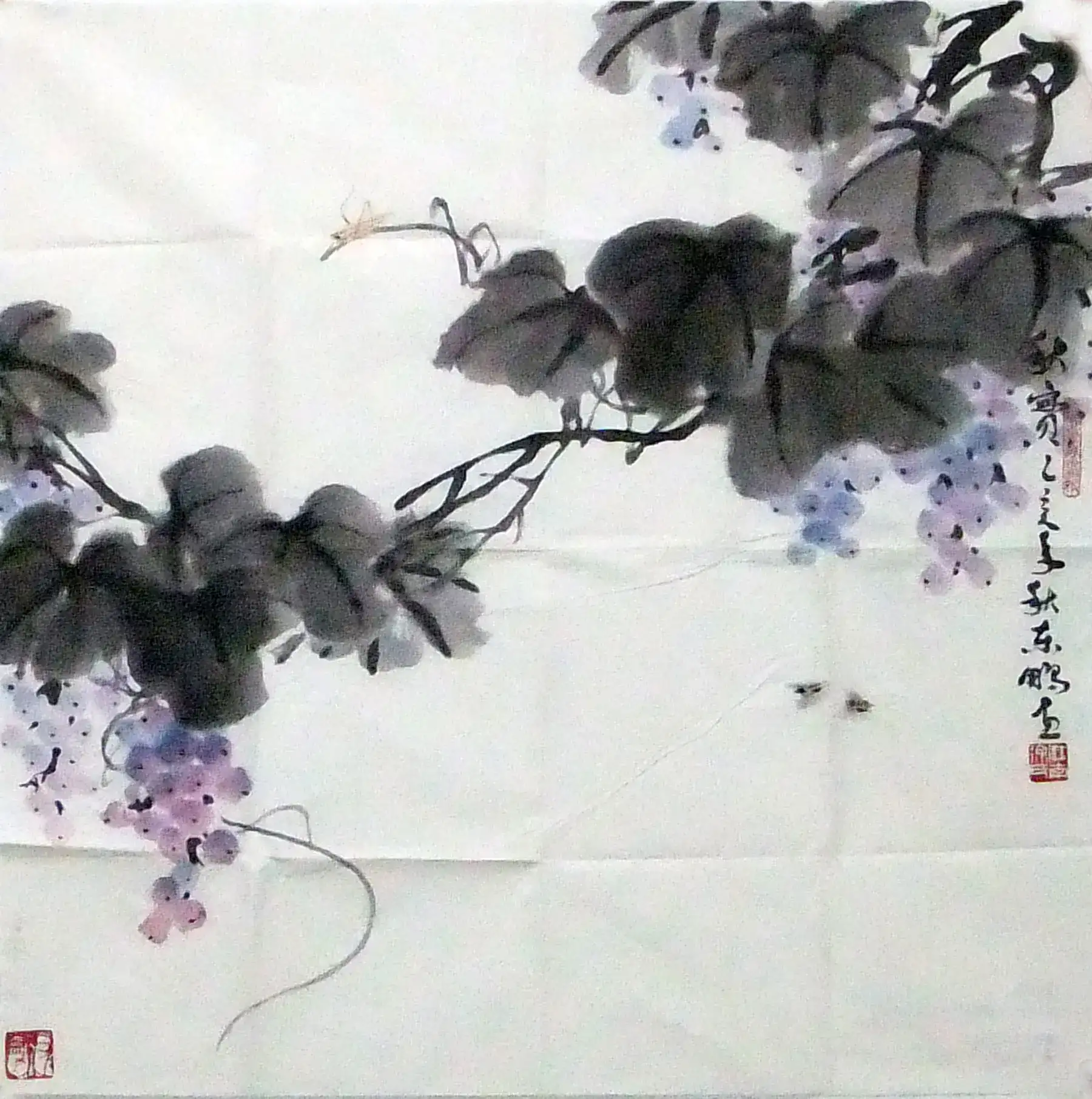 H637�춫��--��ʵͼ