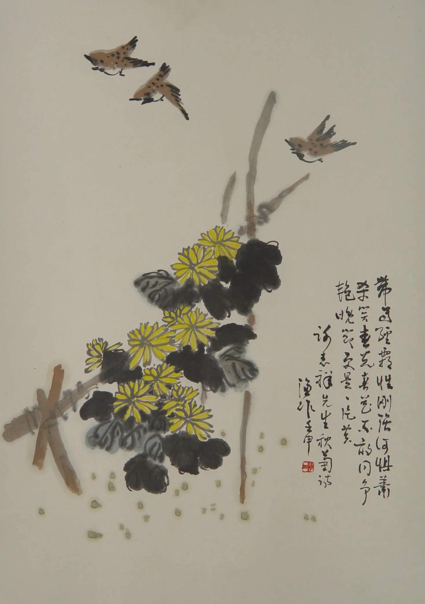 image246 - Copy