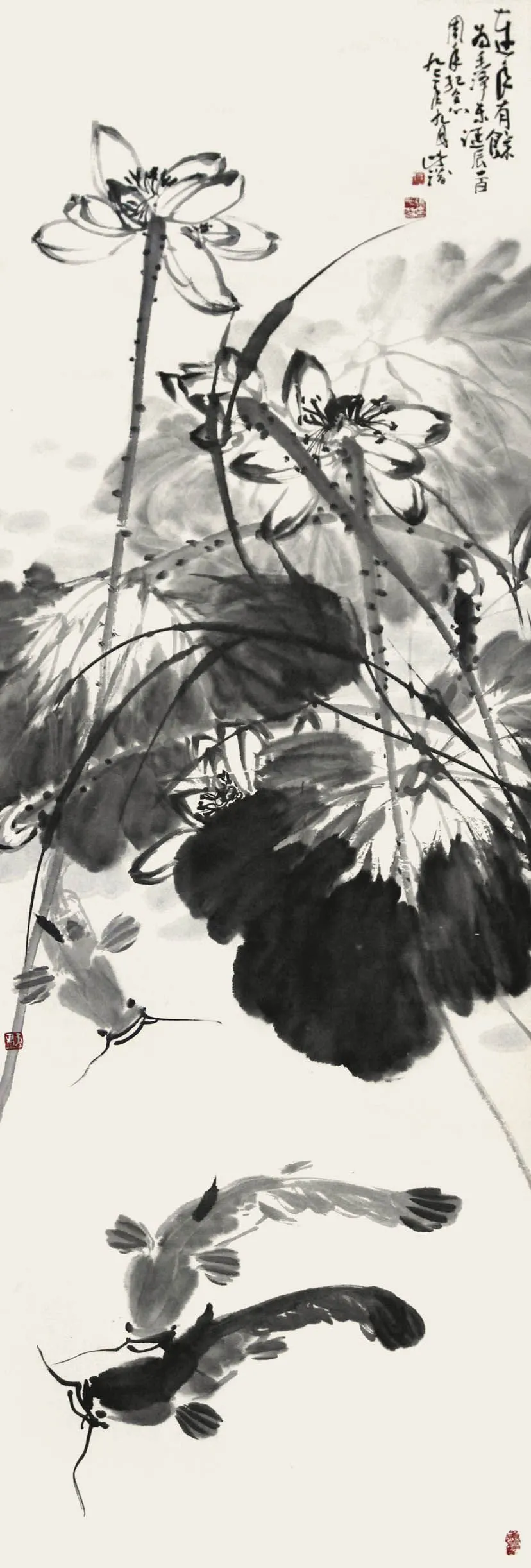 H59�Ŵ�Ǳ--��������_1