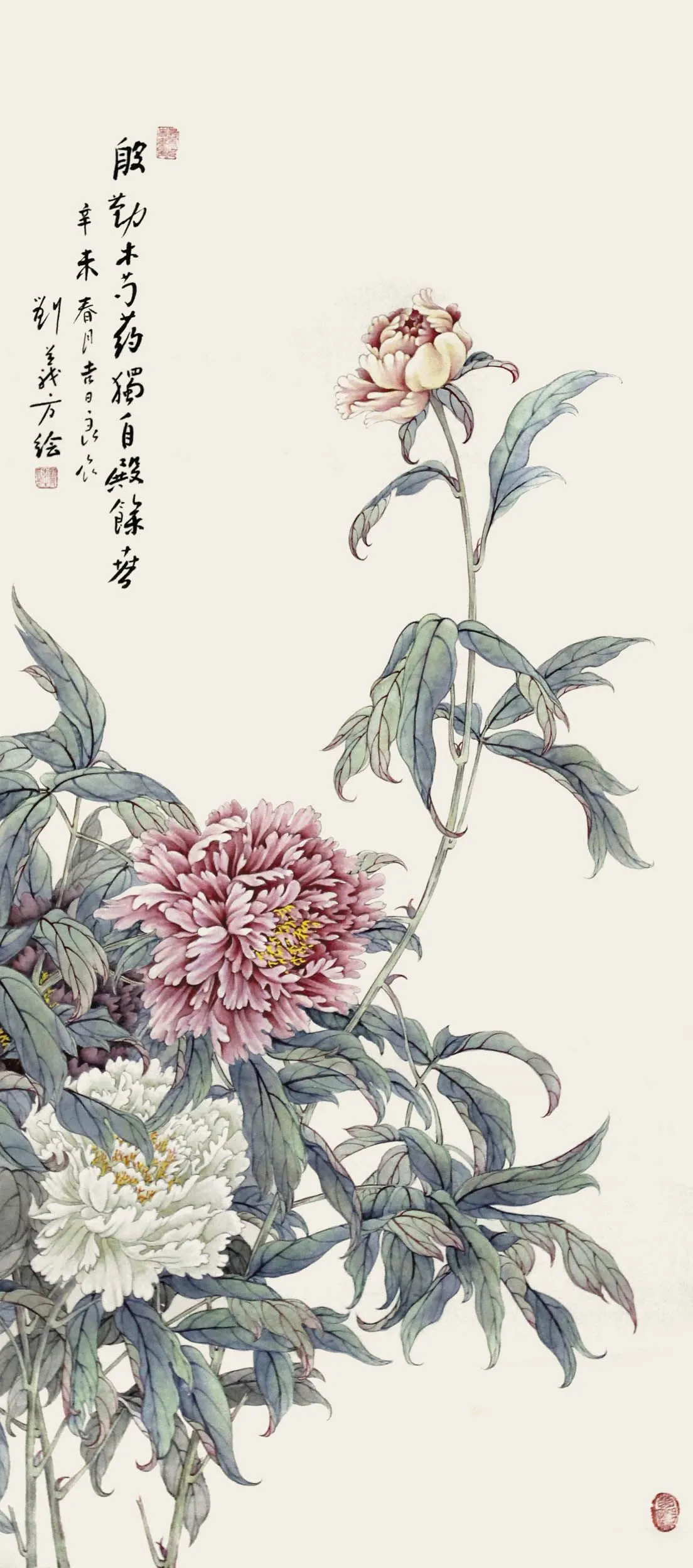H72���巽--����ľ��ҩ_1