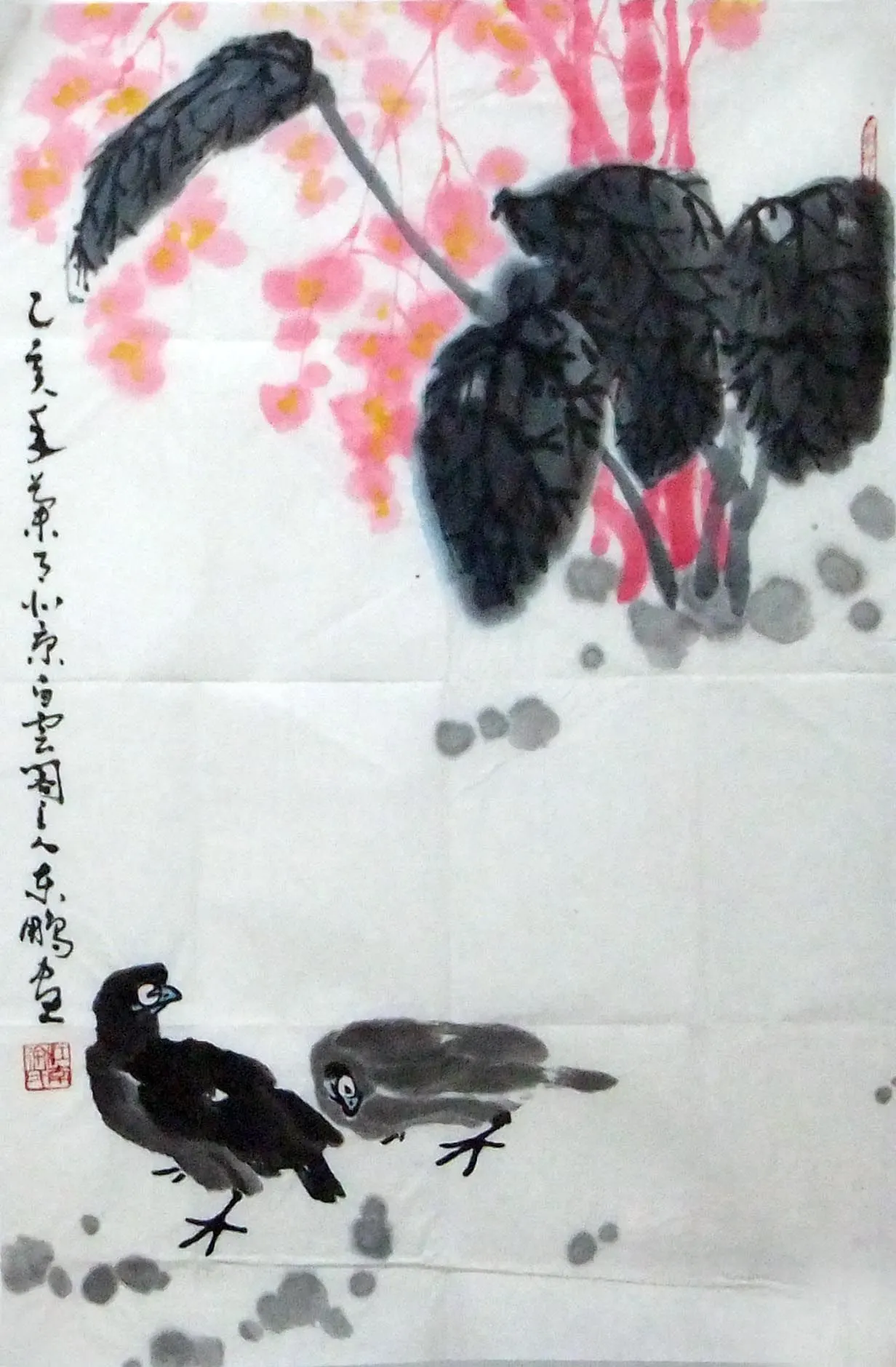 H239�춫��--����_1_1