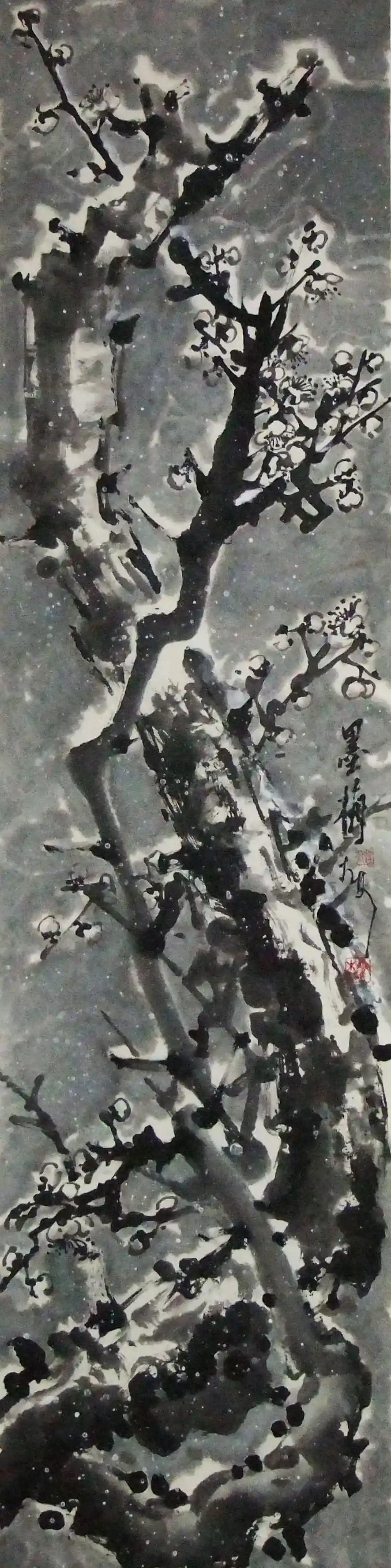 H566����--ī÷��ͼ_1_1