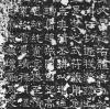 62976b1fx73ca33ce7c75&690