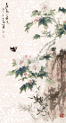 43