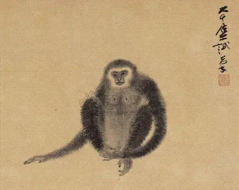 41