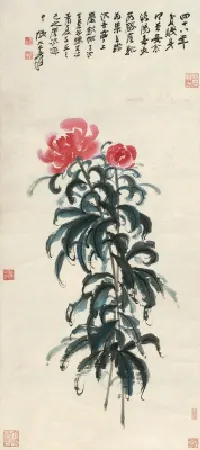 50