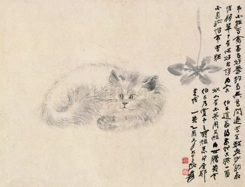 27