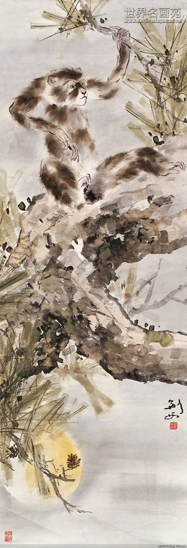 35595232_30