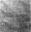 28244958_2