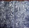 zhangxu_lqlx_dbtft1_05
