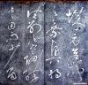 zhangxu_lqlx_dbtft1_07