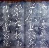 zhangxu_lqlx_dbtft1_12