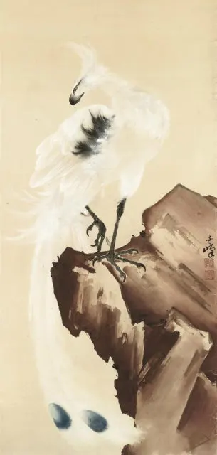 29