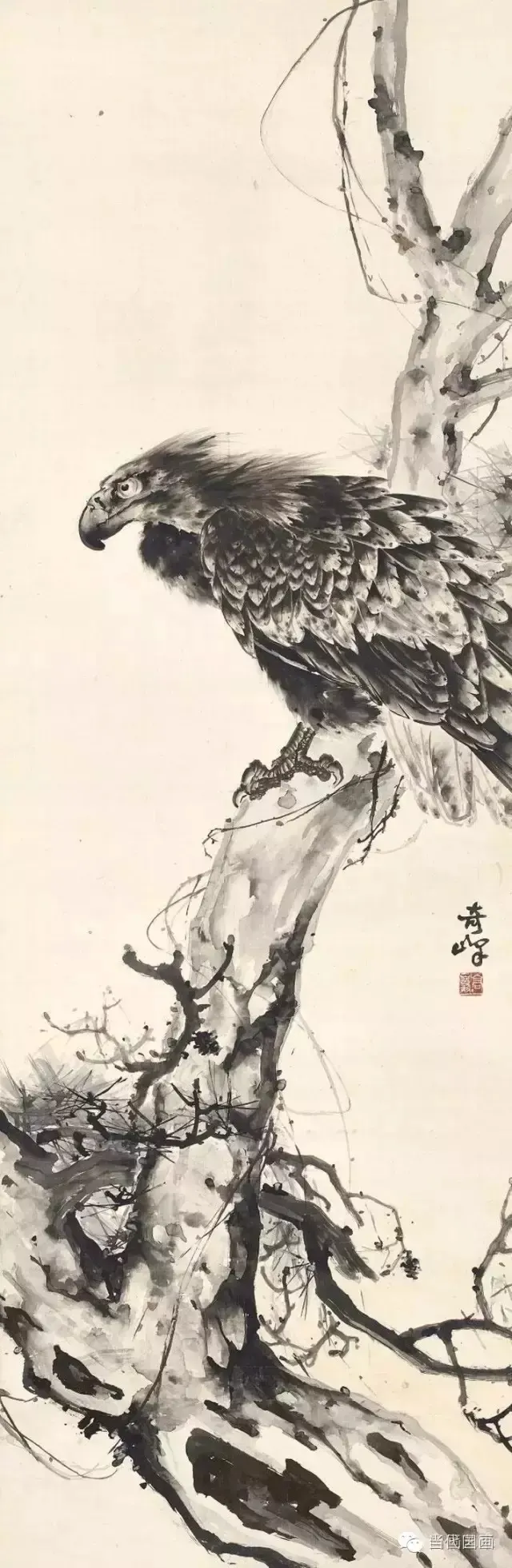 33