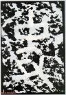 16_2017032709542344