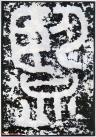 13_2017032709541731