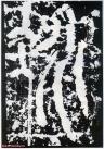 22_2017032709543517