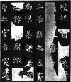 20170607_101005_007