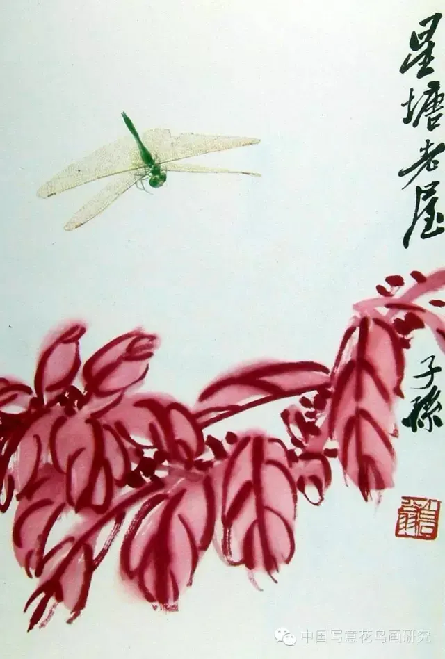 20170630_103635_180