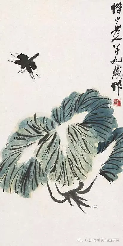 20170630_103635_182