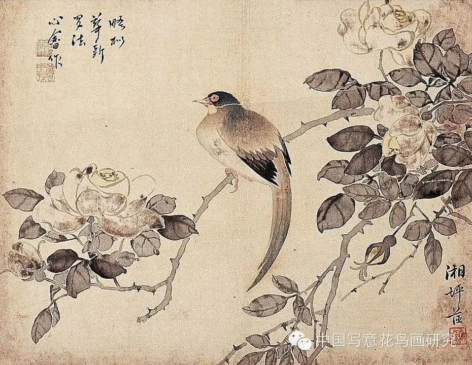 20170722_104450_207