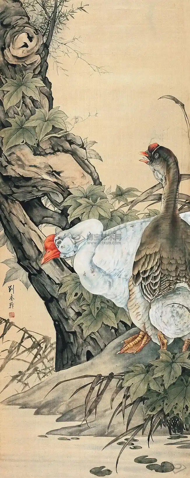 29