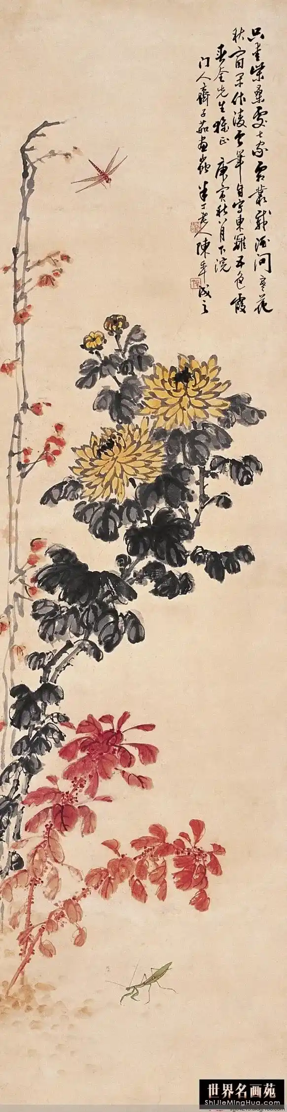 20170819_120439_025