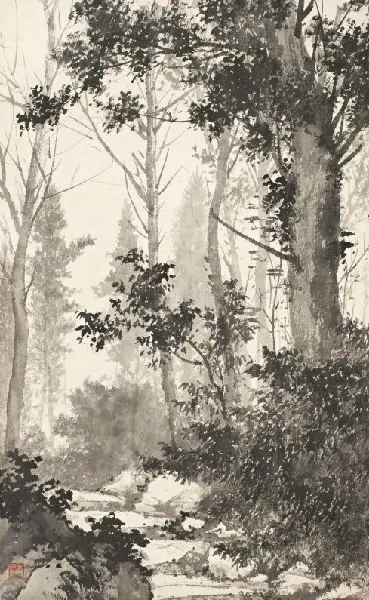 41