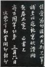 49610577_4