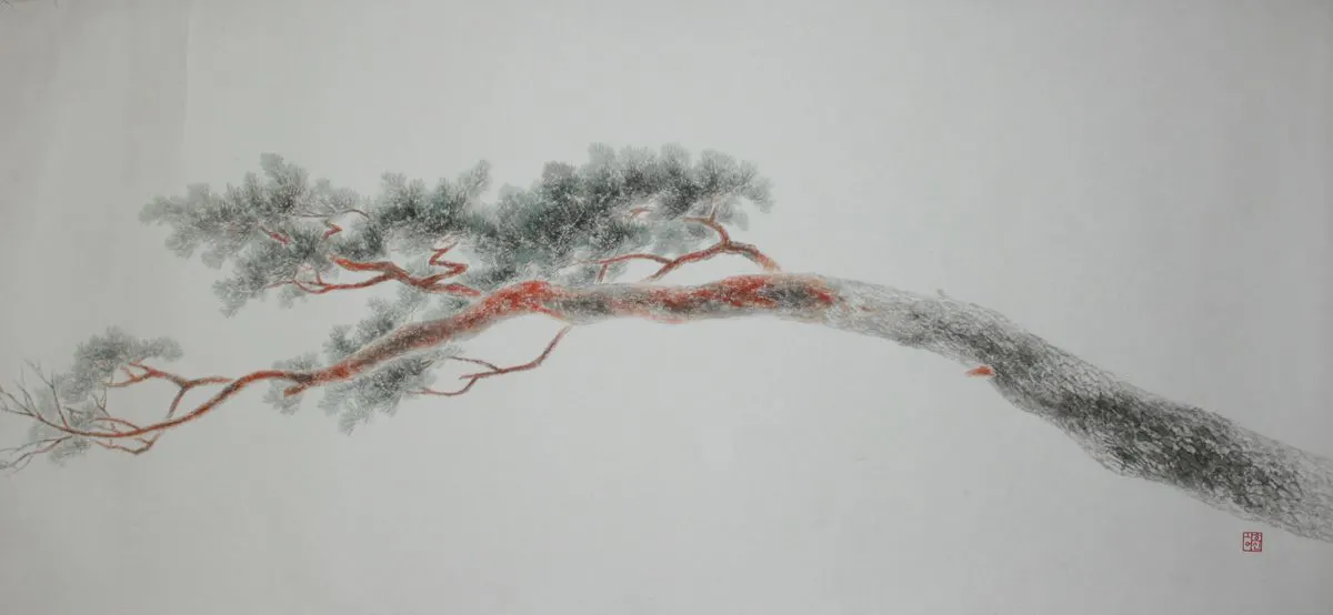 150x70cm  