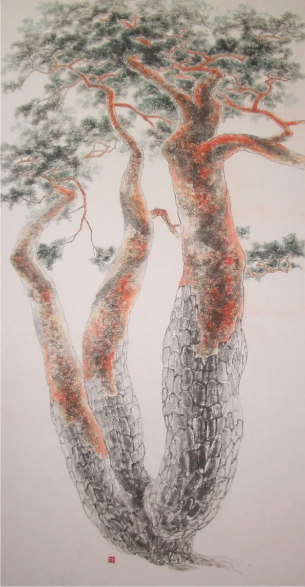 150x70cm 