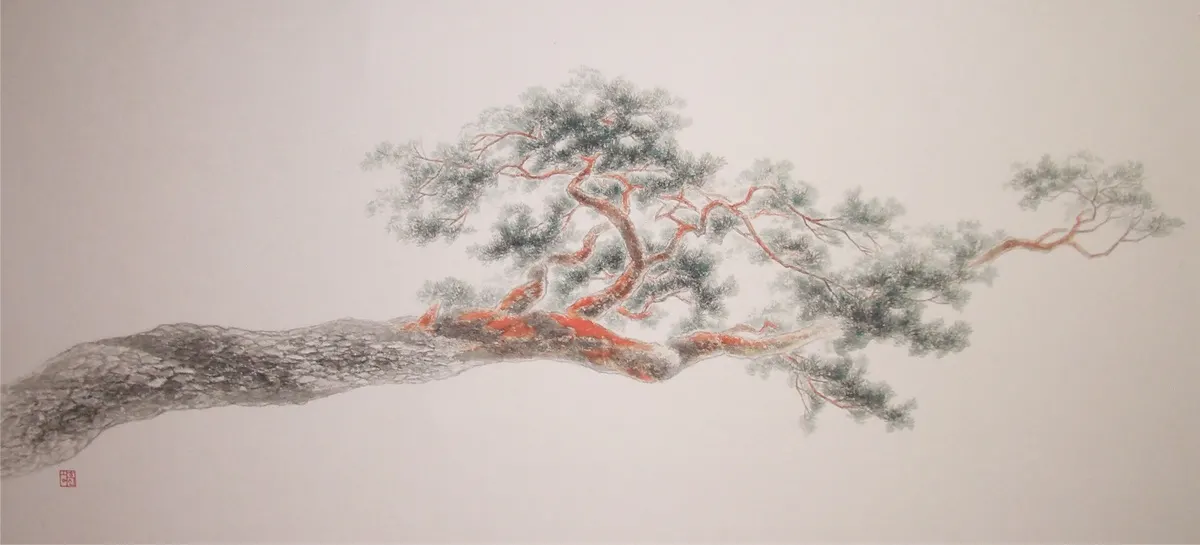 150x70cm