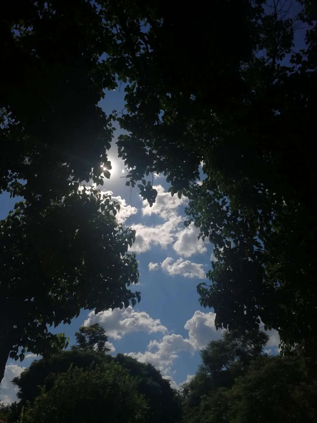 ������ס��ǿ�ҵ��չ⣬�����������͵�������ơ�