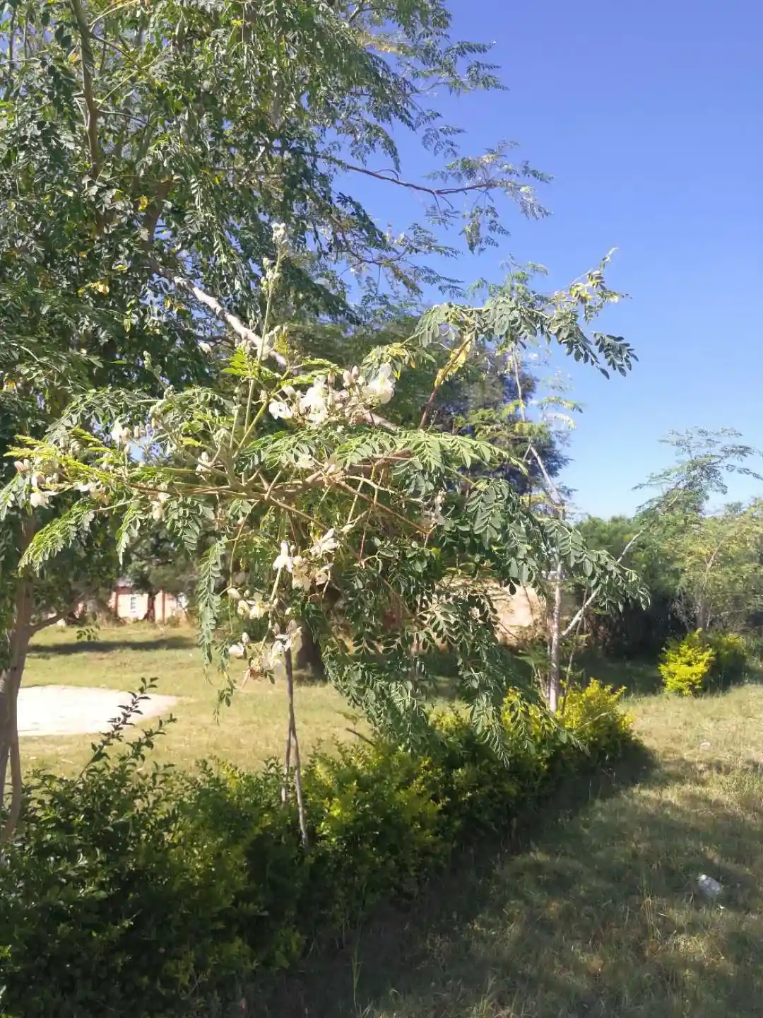 �й���Ӫ��ҵ��ע�⻷�����衣