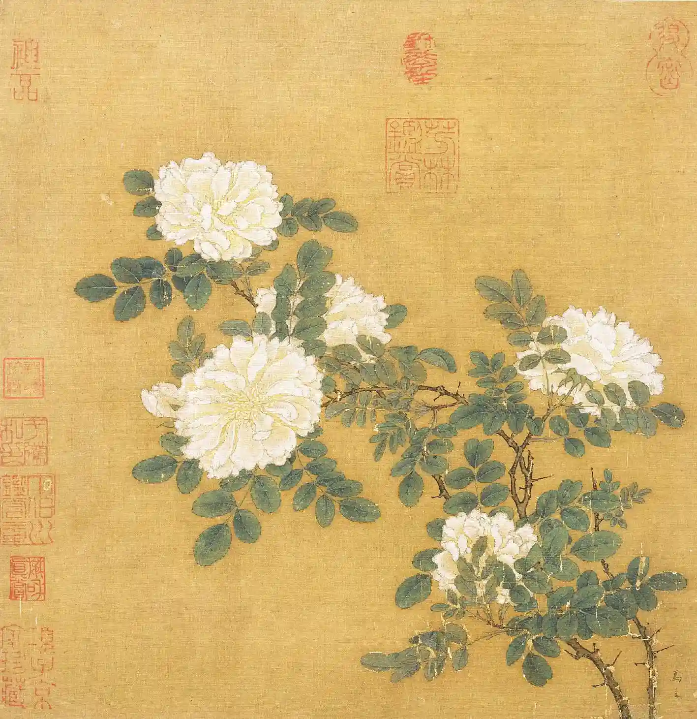 宋 马远 白蔷薇图_副本