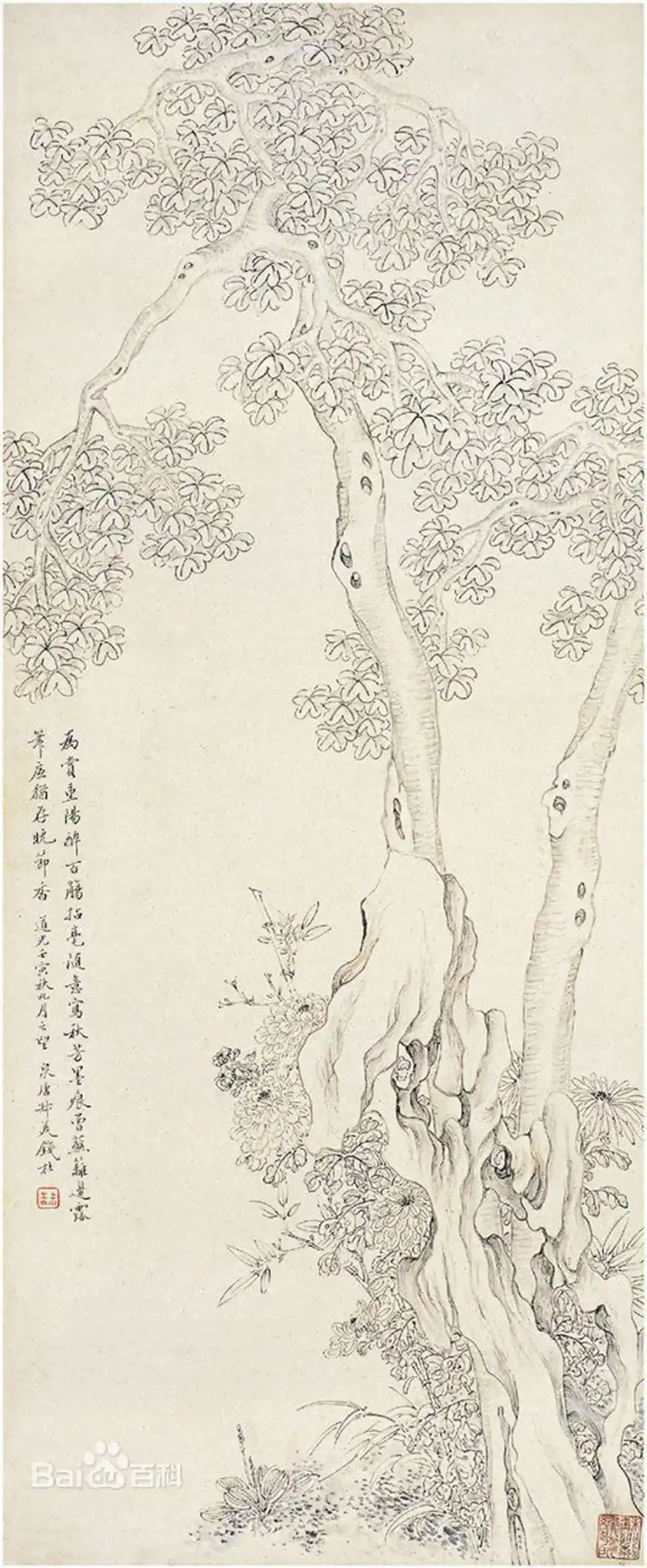 41