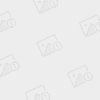 002pHe5nzy6Np774CJucc&690