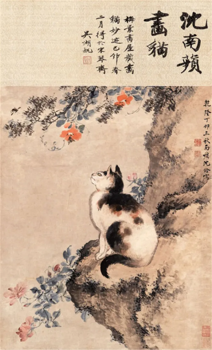 147491450_14_20181118122205466