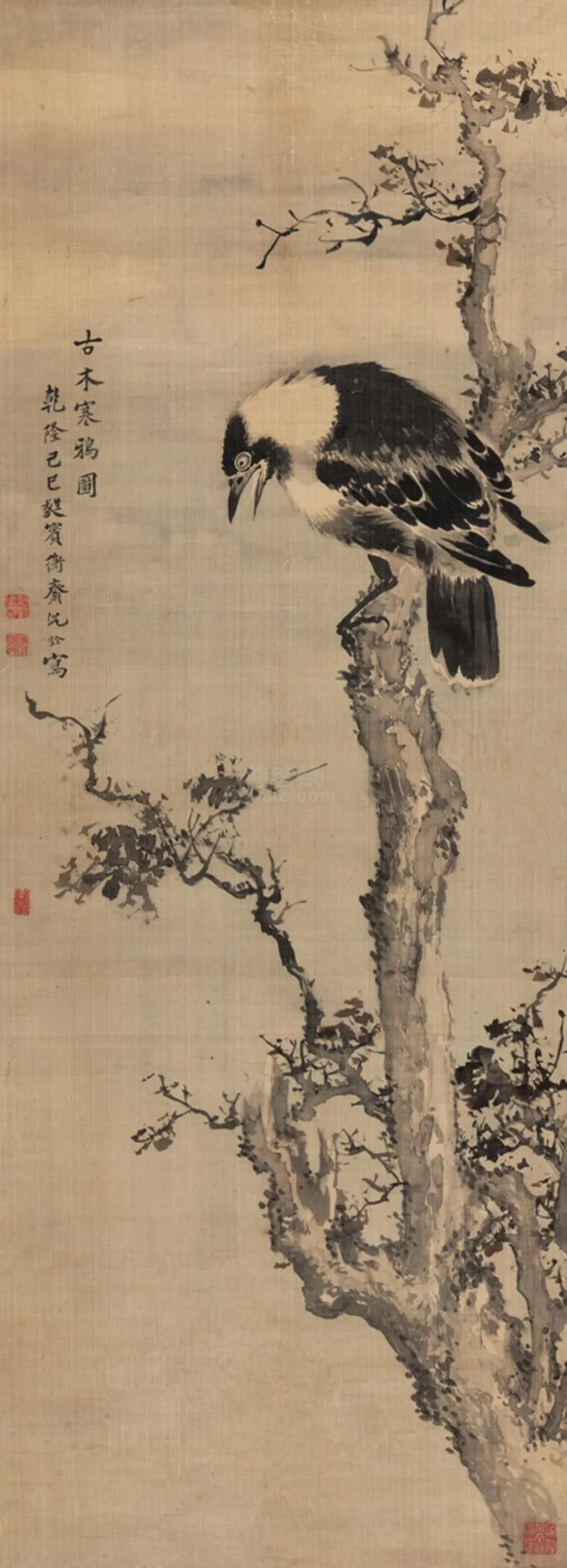 17