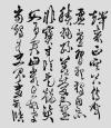 image (5)